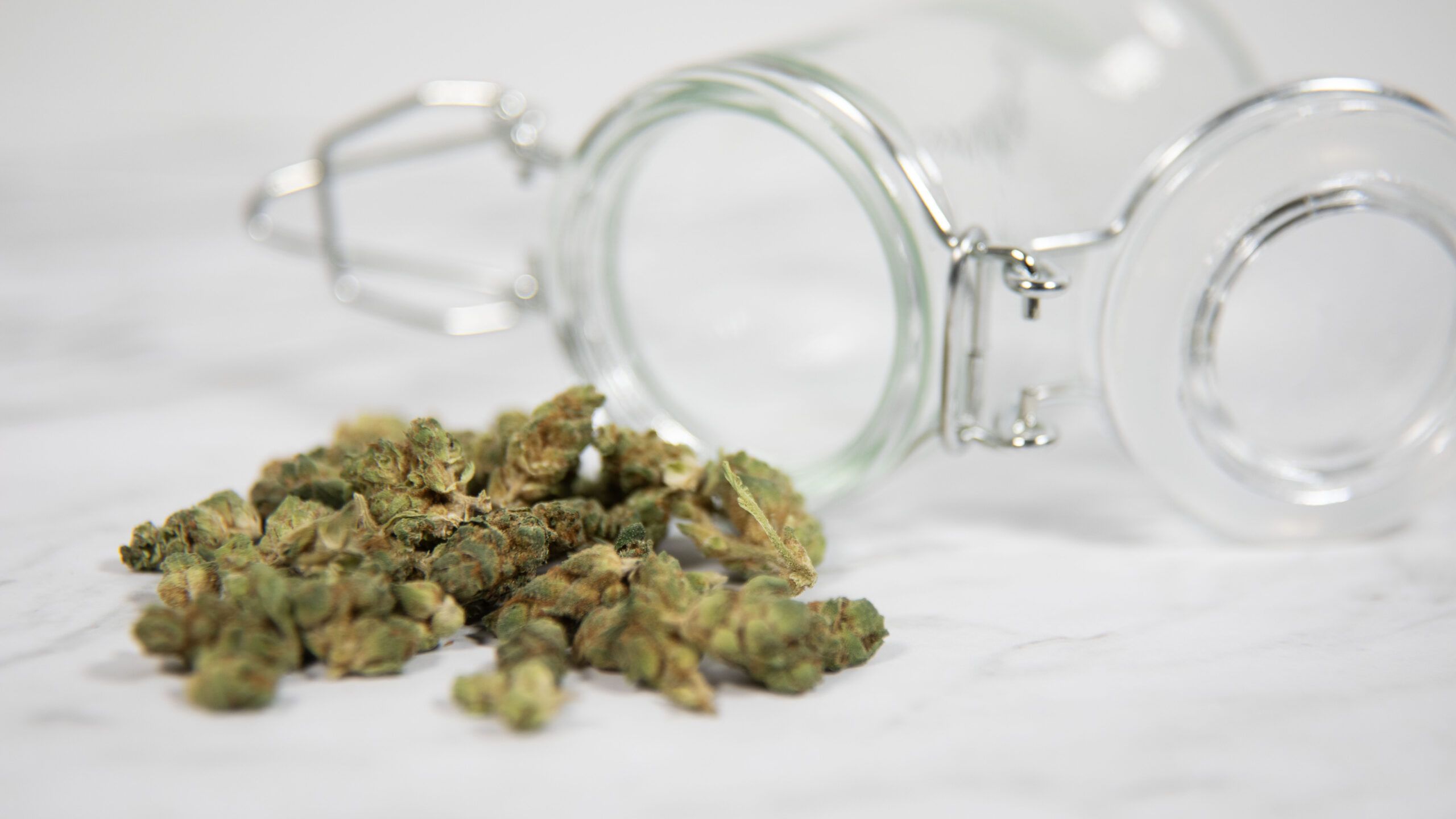 Veterans and Medical Cannabis: Access and Advocacy Across the U.S.